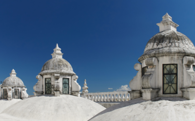 Explore la historia y cultura de León