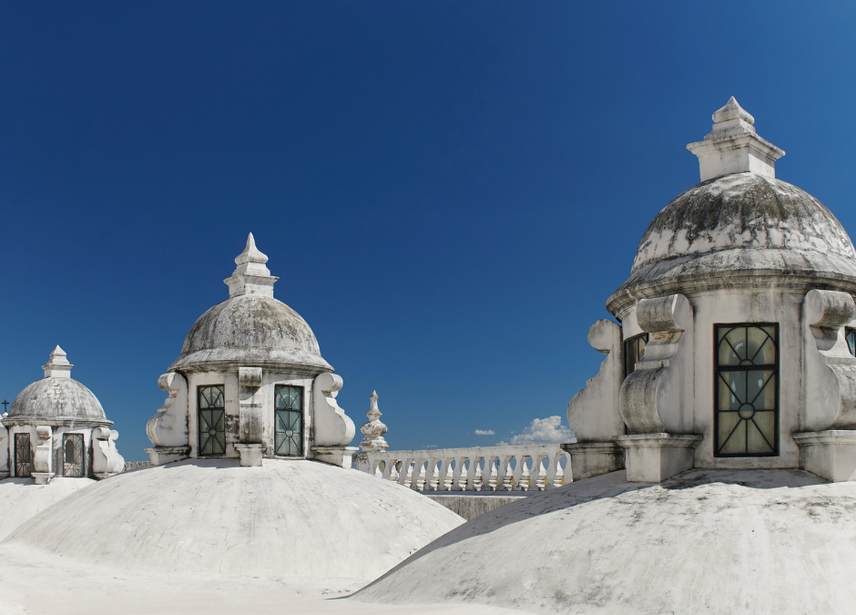 Explore la historia y cultura de León